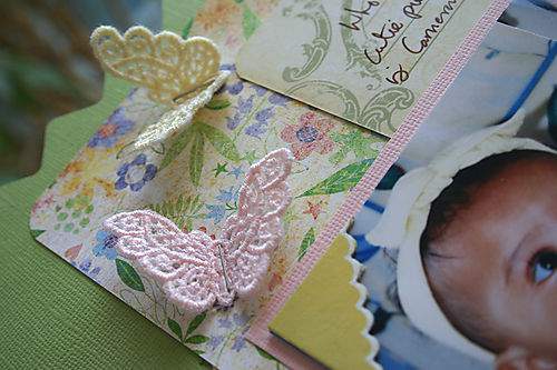 Blog butterflies small