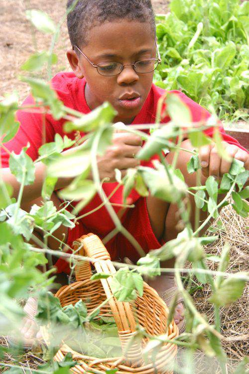Blog barn jordy beans