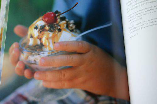 Blog cookbooks ice cream