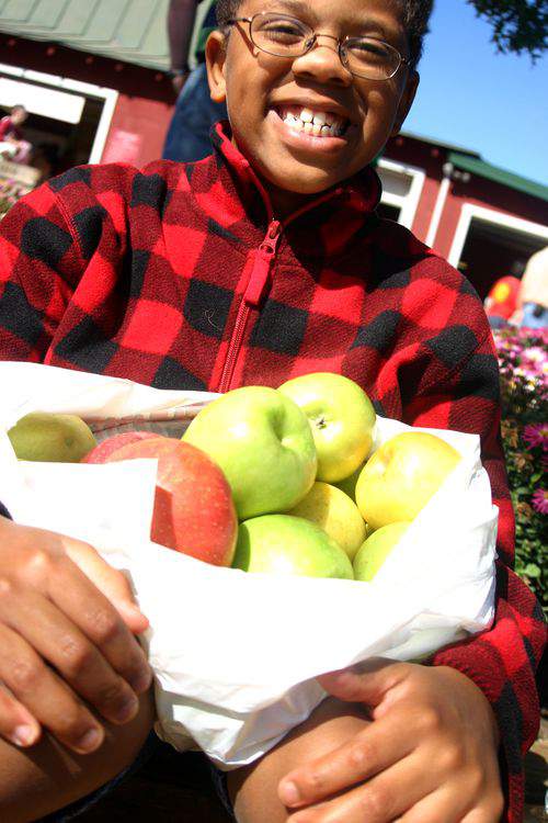 Blog bushel of apples jordy