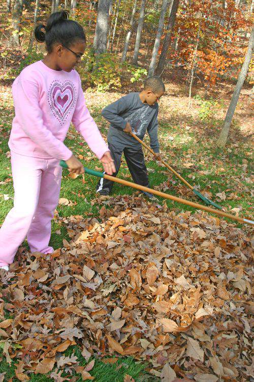 Blog fall harvest leaves2