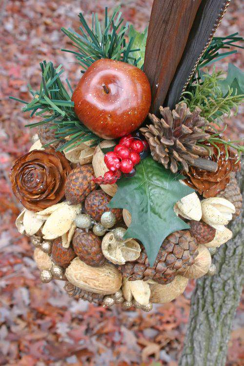 Blog kiss me tree above