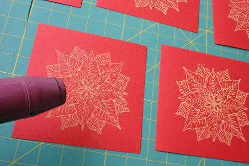 Blog poinsettias gun