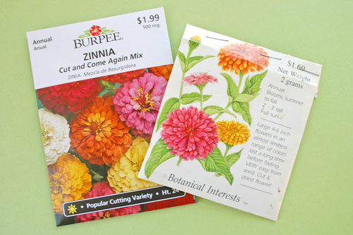 Blog flower pillow seeds3