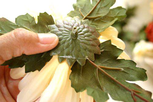 Blog daisies leaves