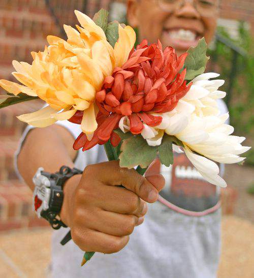 Blog daisies bouquet