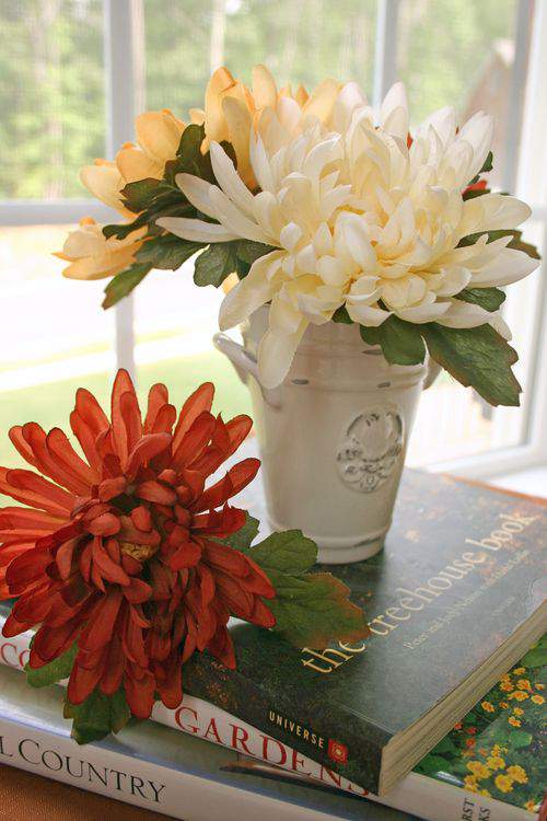Blog daisies window2