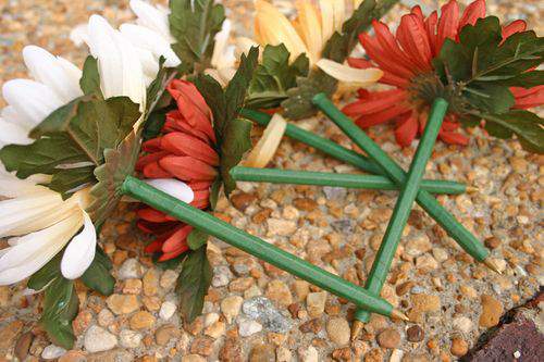 Blog daisies step