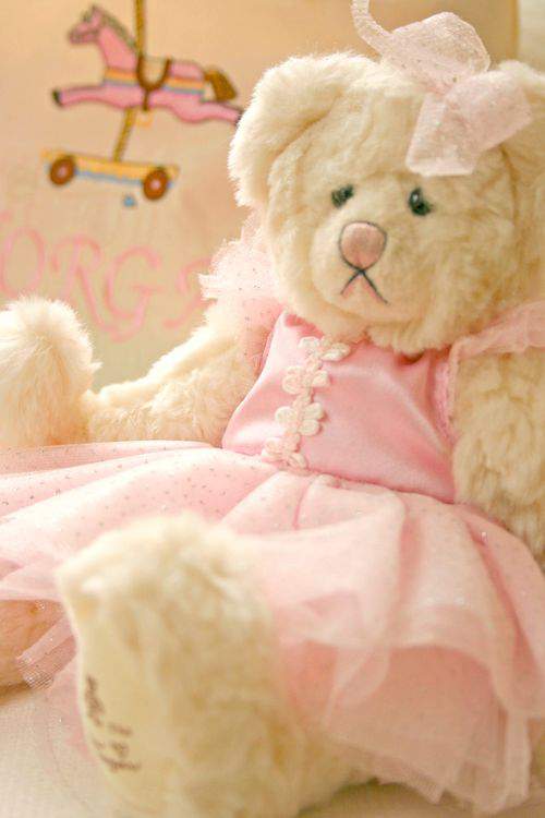 Blog blanket bear face4