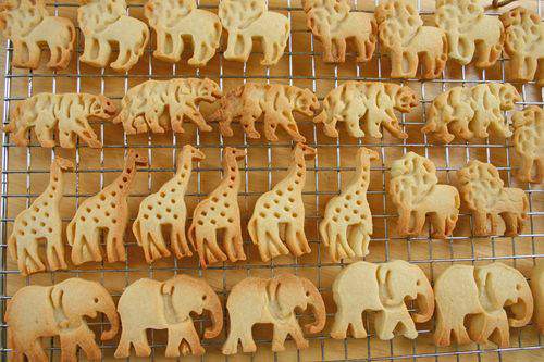 Blog animal crackers group