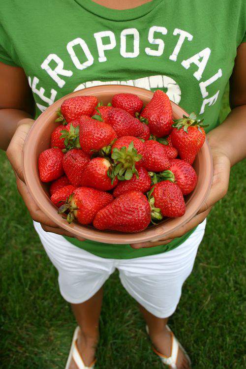 Blog strawberries