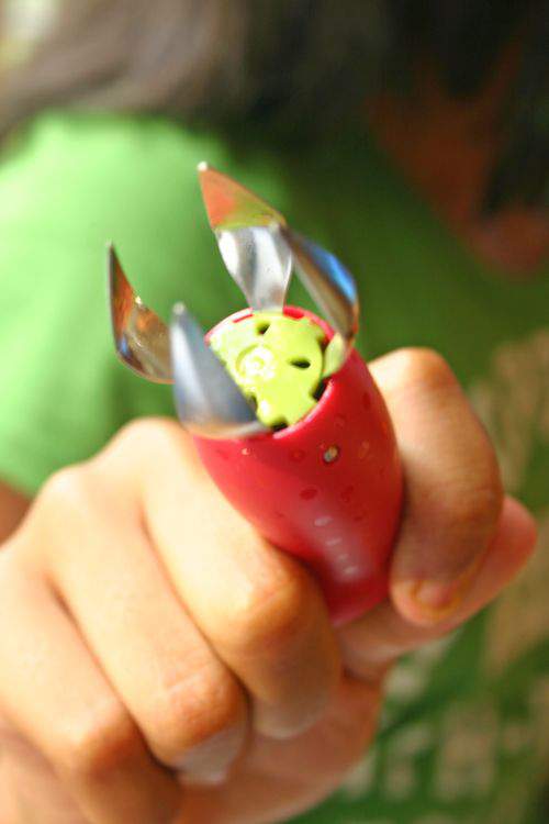 Blog strawberries tool