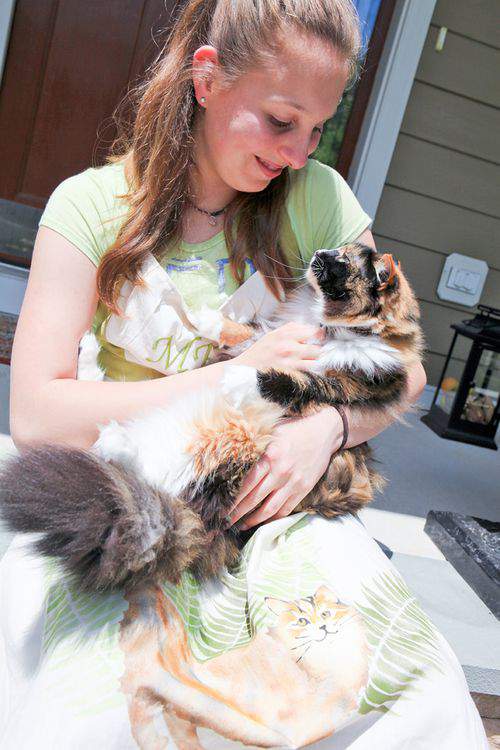 Blog kitty apron steps