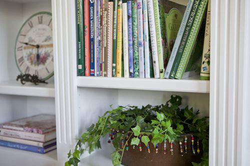 Blog at home with books plant