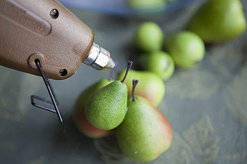 Blog gift wrap pears