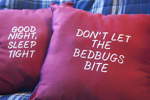 Blog jordy's room bedbug pillows