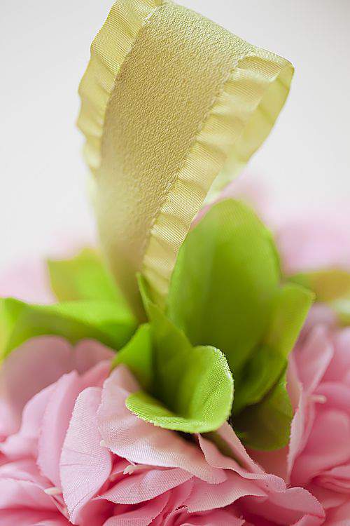 cherry blossom leaves cherry blossom leaves