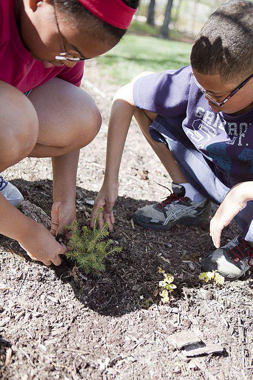 Earth Day planting