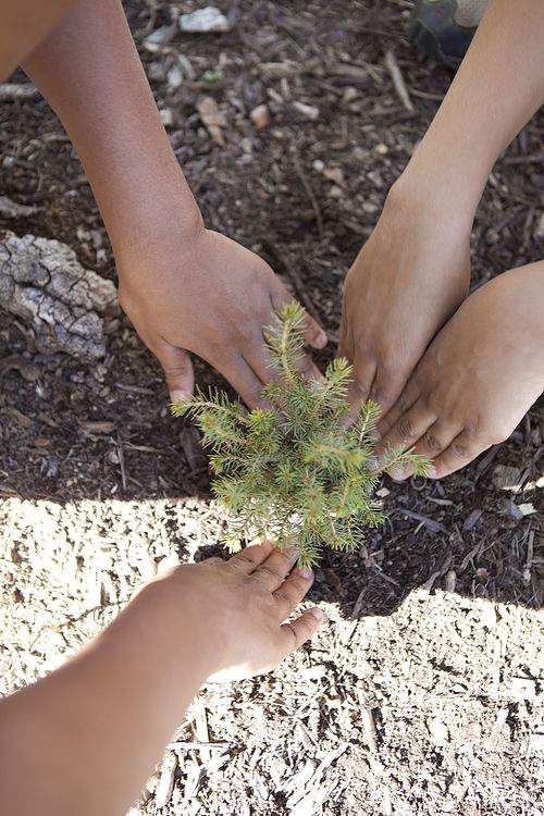 Earth Day tree planting