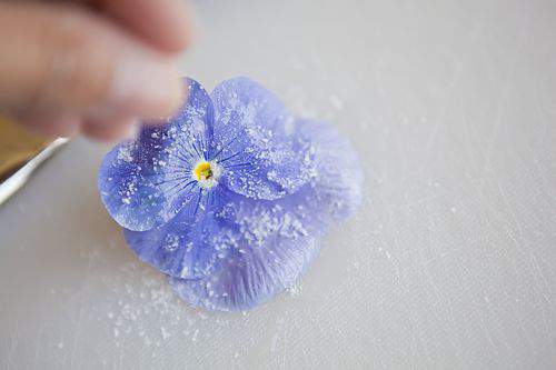 lavender sugar sprinkle