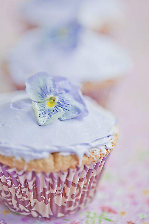 lavender pansies and cupcake