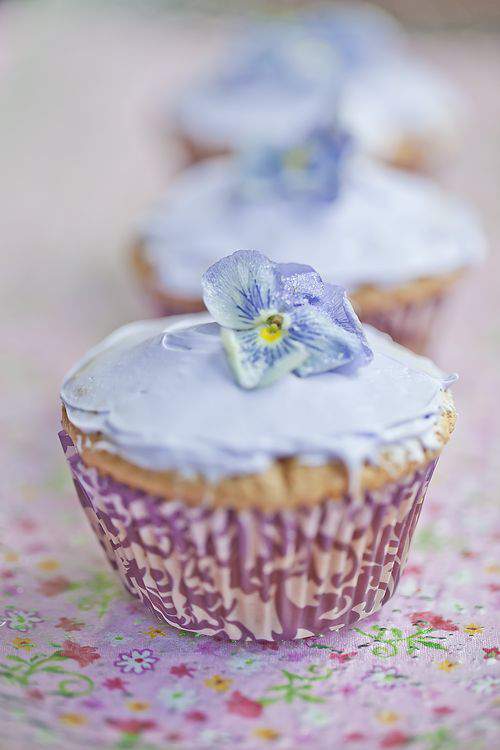 lavender cupcakes