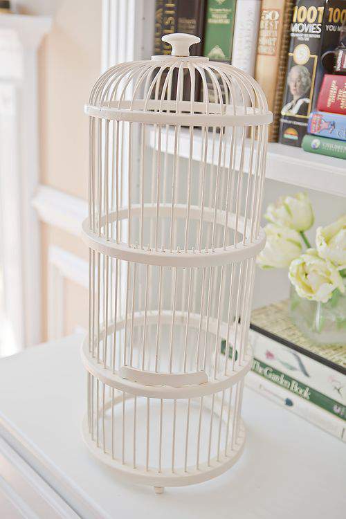 Painted bird cage