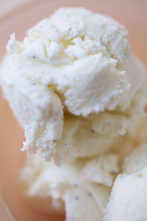 Blog ice cream scoops scoop