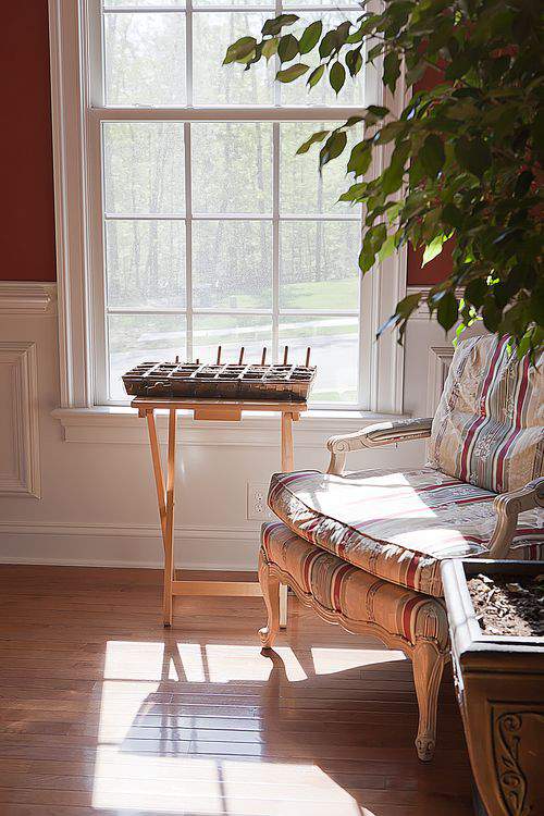 Herb garden in window