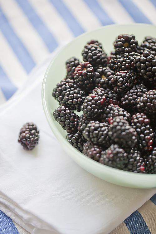 Blog blackberry cobbler blackberries