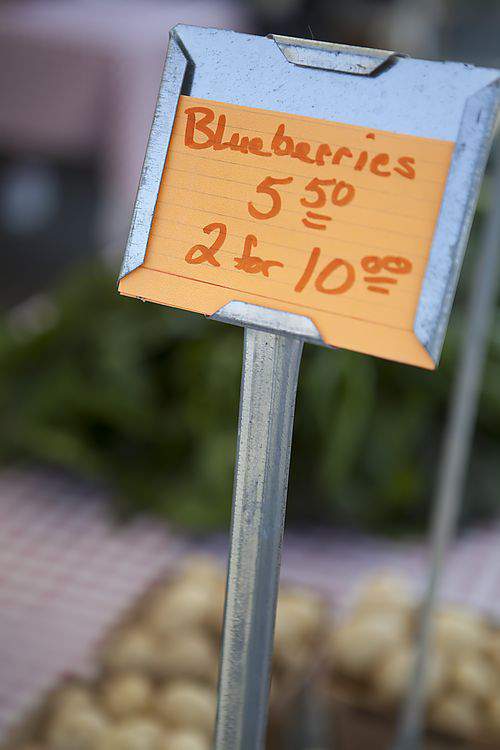blueberry sign