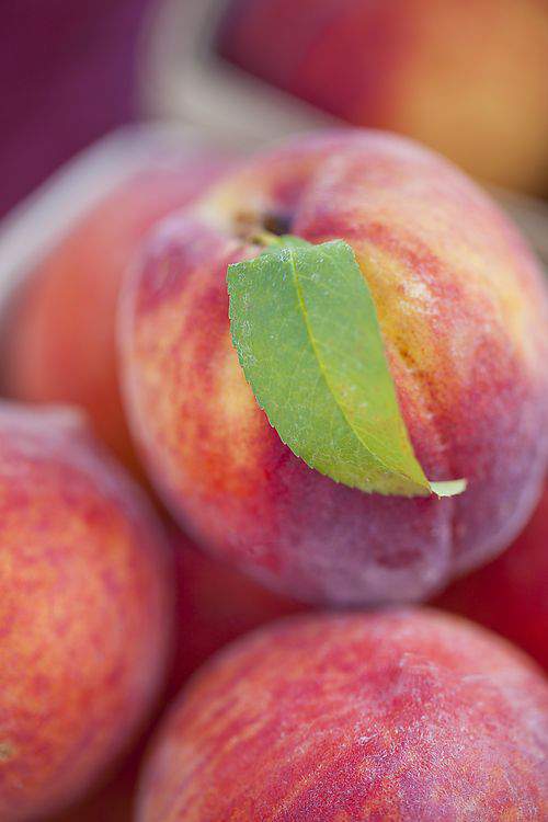 Blog farmers market peaches3