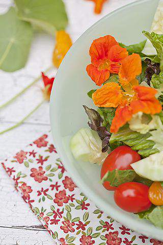 Nasturtium salad