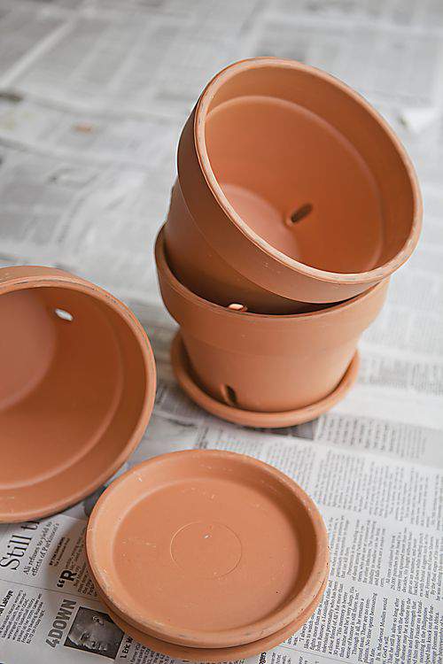 terra cotta pots