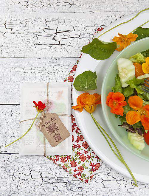 nasturtium gift pack and bowl