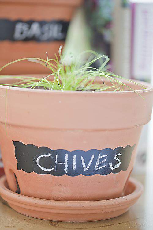 Chalkboard pot and Chives