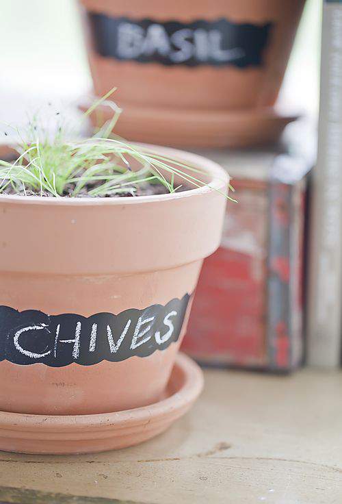 chalkboard pot Chives