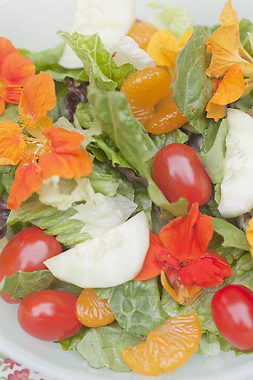 nasturtium salad contents