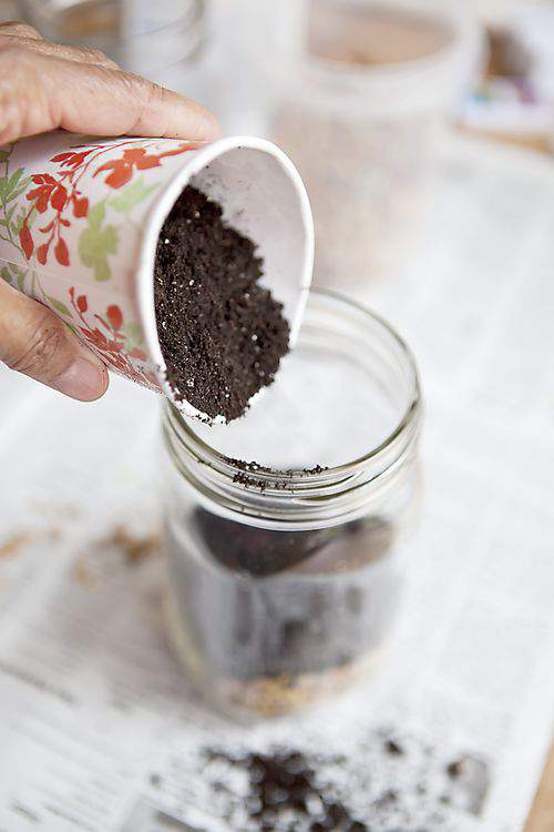 mason jars with soil