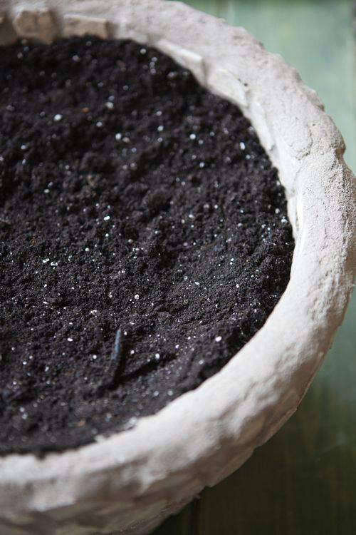 soil for container garden