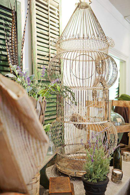vintage bird cage
