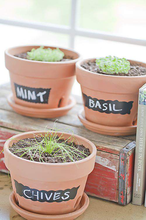 Chalkboard pots trio