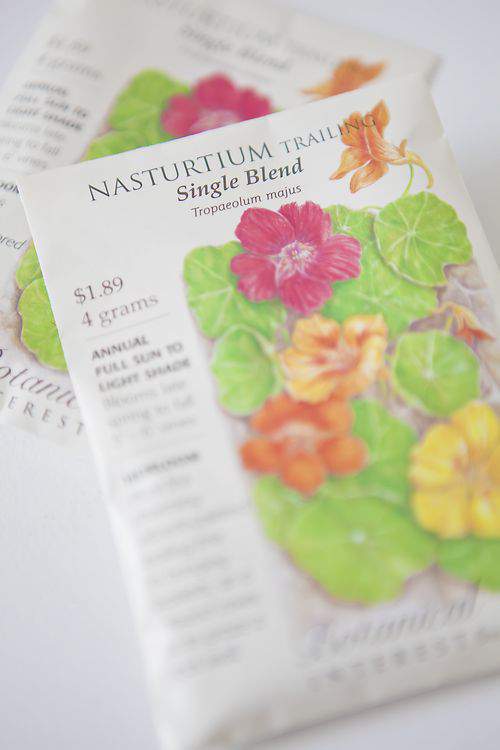 nasturtium seeds