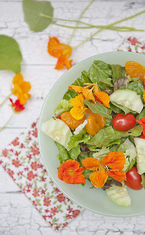 nasturtium salad