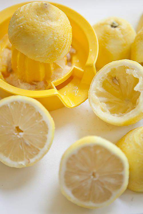 Blog lemon sorbet lemons