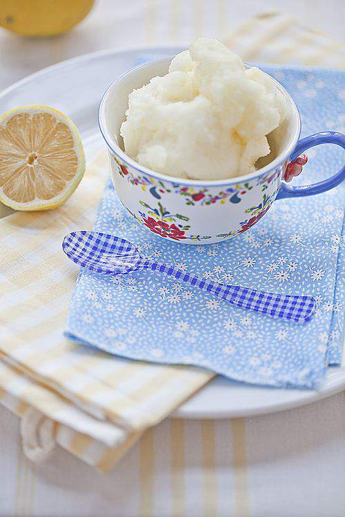 Blog lemon sorbet wide4