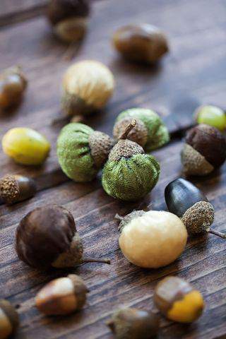 Velvet acorns