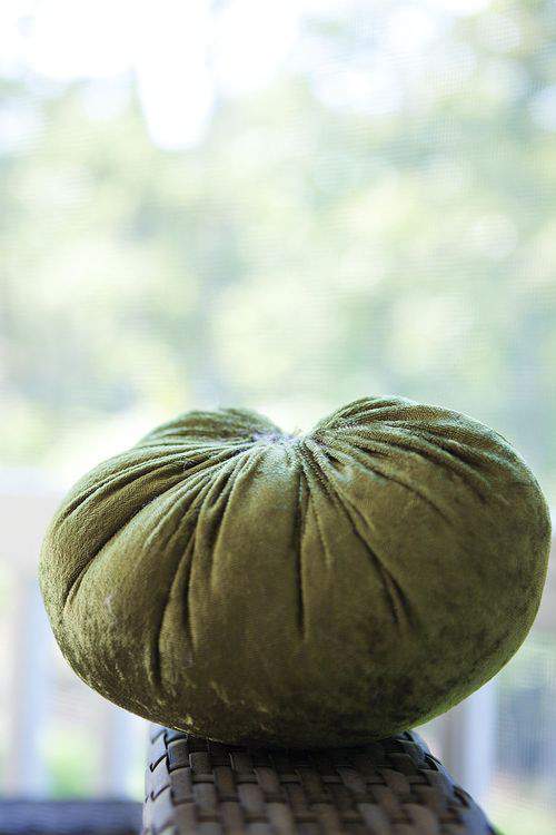 soft pumpkin sans stem