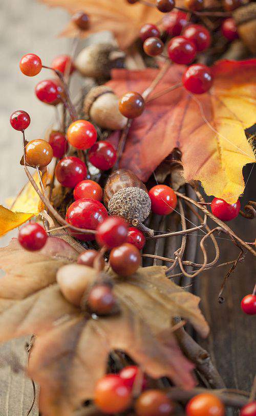 leaves and berries