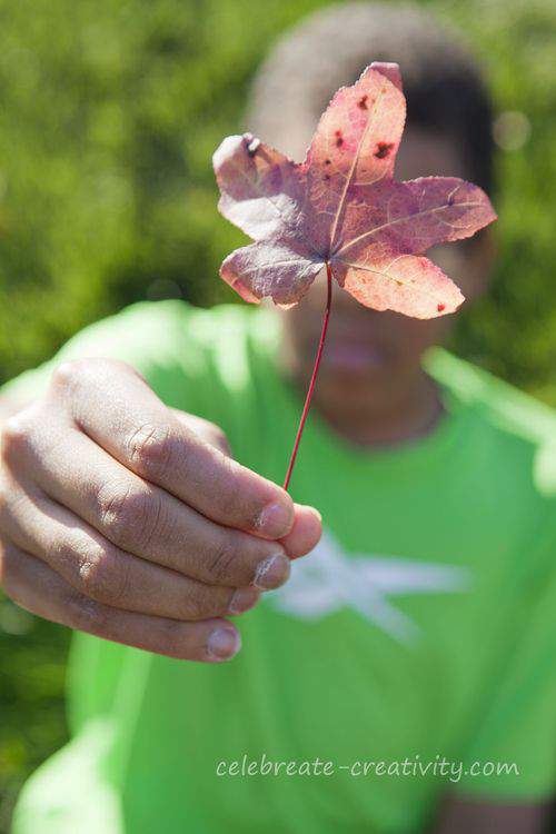 leaf in hand